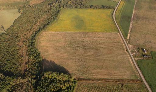 Photo #8 of 66.5 Acres-TBD Baxley Rd., Hemingway, SC 66.5 acres