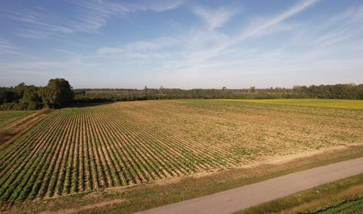 Photo #15 of 66.5 Acres-TBD Baxley Rd., Hemingway, SC 66.5 acres