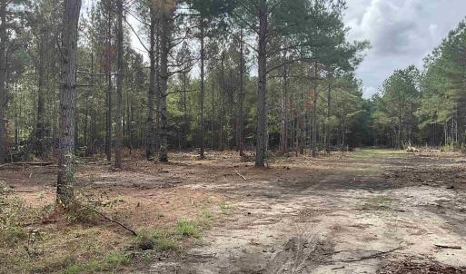 View of wooded area