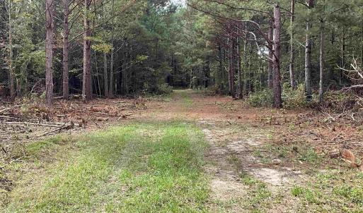 View of yard featuring a wooded view