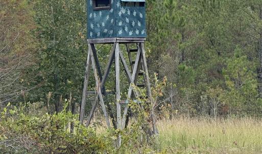 View of outbuilding featuring a wooded view