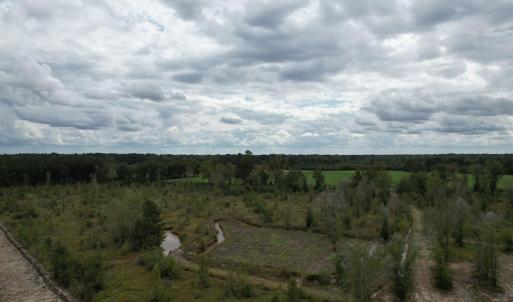 View of local wilderness featuring rural landscape
