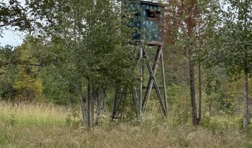 View of undeveloped land