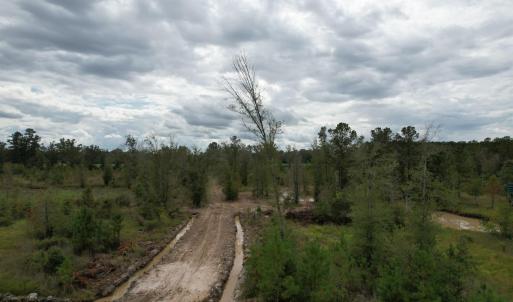 View of woods