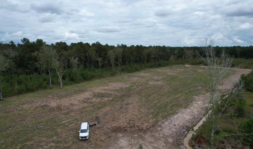 View of woods