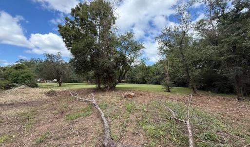 View of yard with a view of rural / pastoral area