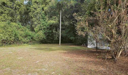 View of grassy yard