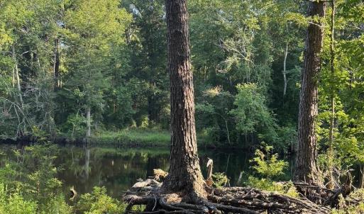 View of wooded area with a water view