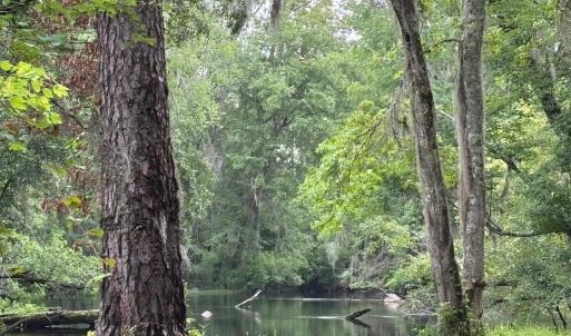View of tree filled area with a water view