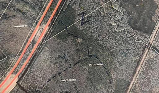 Photo #1 of TBD Highway 57 N, Dillon, SC 205.0 acres