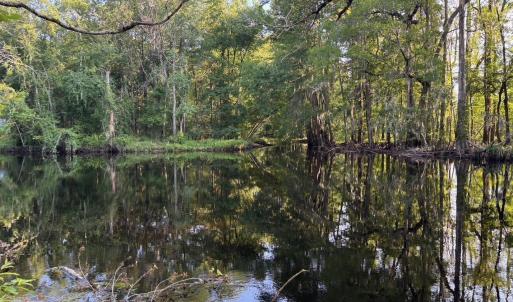 View of wooded area featuring a water view