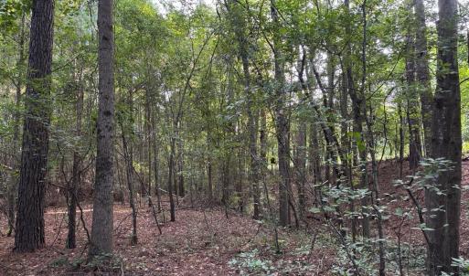 View of wooded area