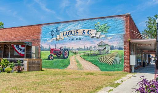 Photo #15 of 1929 Highway 9 Business E, Loris, SC 2.8 acres