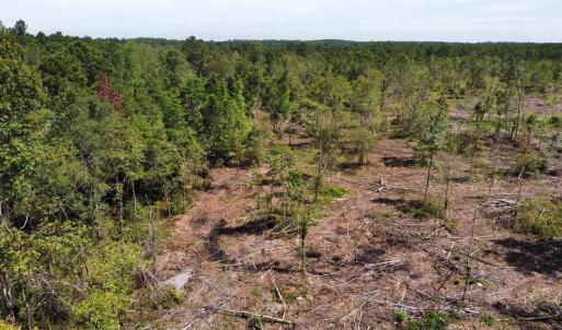 View of undeveloped land