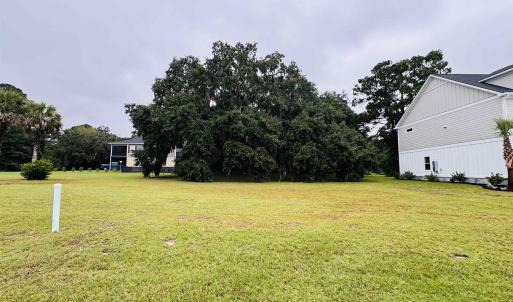 View of grassy yard with view of scattered trees