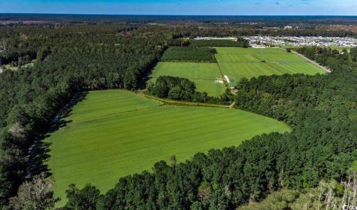 Photo #5 of 8.06 Acs Old Bucksville Rd., Conway, SC 8.1 acres