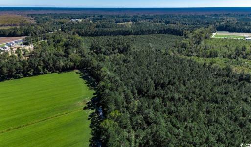 Photo #8 of 8.06 Acs Old Bucksville Rd., Conway, SC 8.1 acres