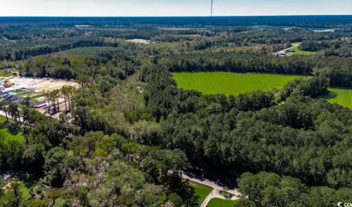 Photo #10 of 8.06 Acs Old Bucksville Rd., Conway, SC 8.1 acres