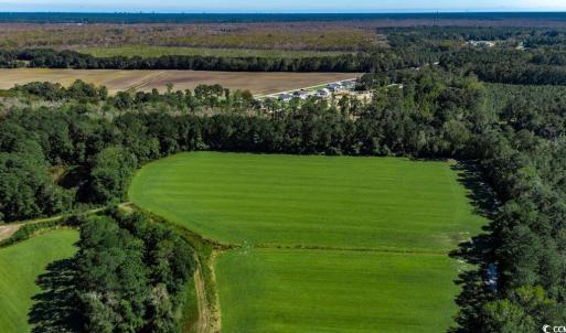 Photo #7 of 8.06 Acs Old Bucksville Rd., Conway, SC 8.1 acres