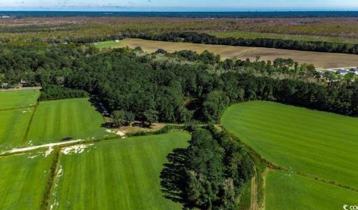 Photo #9 of 8.06 Acs Old Bucksville Rd., Conway, SC 8.1 acres