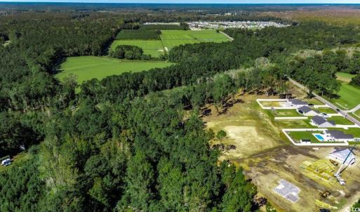 Photo #3 of 8.06 Acs Old Bucksville Rd., Conway, SC 8.1 acres