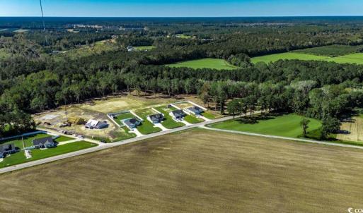 Photo #11 of 8.06 Acs Old Bucksville Rd., Conway, SC 8.1 acres