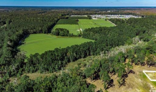 Photo #4 of 8.06 Acs Old Bucksville Rd., Conway, SC 8.1 acres