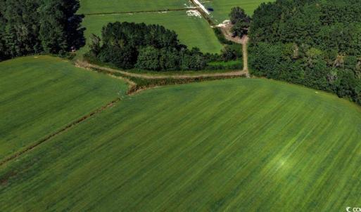 Photo #6 of 8.06 Acs Old Bucksville Rd., Conway, SC 8.1 acres