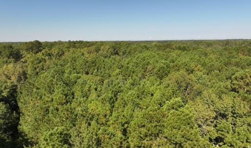 Bird's eye view of a heavily wooded area