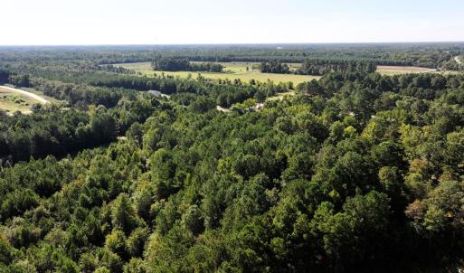 Drone / aerial view of a forest