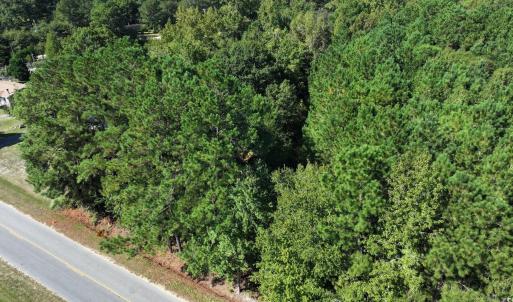 Aerial view of property's location with a heavily