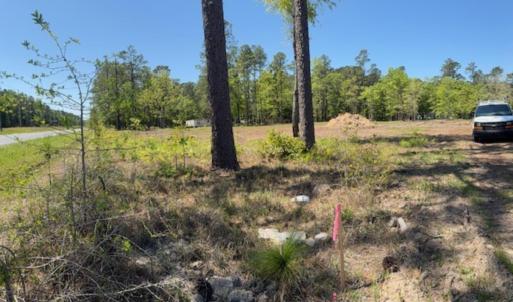 Photo #10 of TBD Johnson Rd., Georgetown, SC 1.4 acres