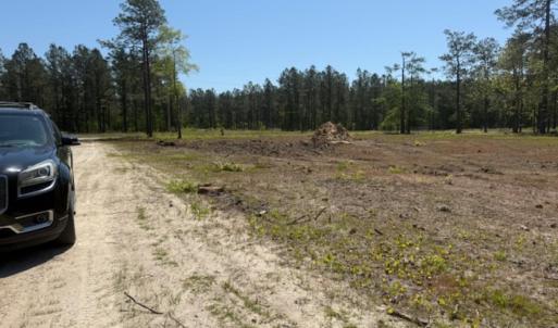 Photo #4 of TBD Johnson Rd., Georgetown, SC 1.4 acres