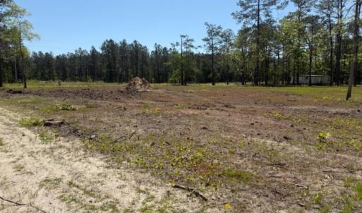 Photo #3 of TBD Johnson Rd., Georgetown, SC 1.4 acres