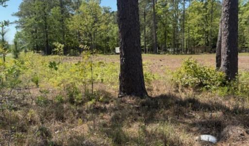 Photo #8 of TBD Johnson Rd., Georgetown, SC 1.4 acres