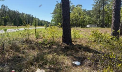 Photo #11 of TBD Johnson Rd., Georgetown, SC 1.4 acres