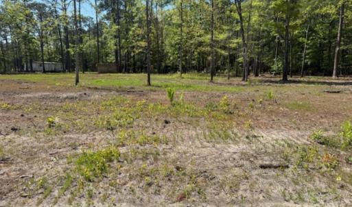 Photo #5 of TBD Johnson Rd., Georgetown, SC 1.2 acres