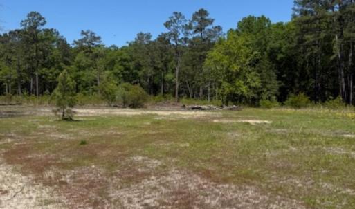 Photo #2 of TBD Johnson Rd., Georgetown, SC 1.2 acres