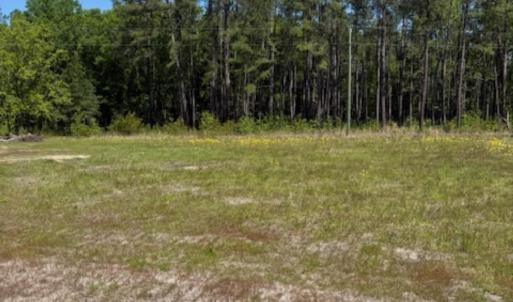 Photo #1 of TBD Johnson Rd., Georgetown, SC 1.2 acres