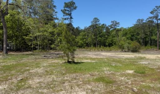 Photo #7 of TBD Johnson Rd., Georgetown, SC 1.2 acres
