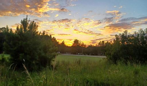 Photo #3 of Winnie Rd., Nichols, SC 0.8 acres