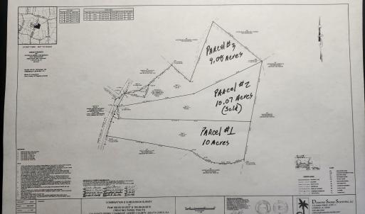 Photo #4 of TBDParcel #3 Amber Ln., Galivants Ferry, SC 9.1 acres