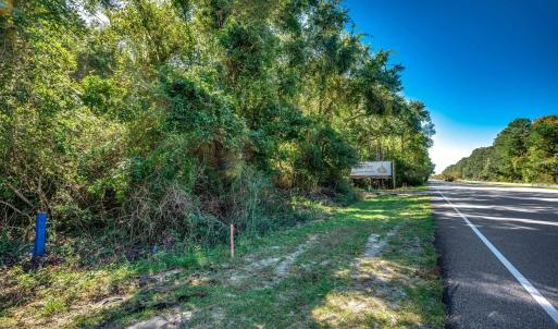 View of asphalt street with a view of trees