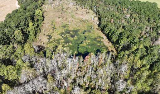 Photo #12 of Law Rd, Pinewood, SC 235.0 acres