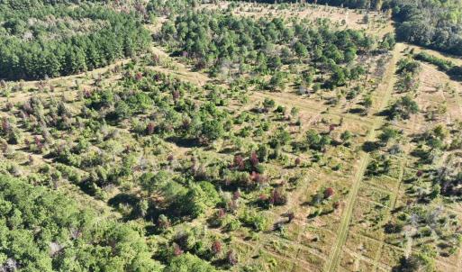 Photo #21 of Law Rd, Pinewood, SC 235.0 acres