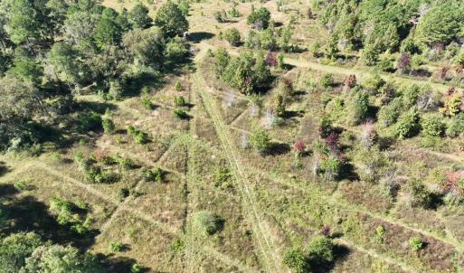 Photo #5 of Law Rd, Pinewood, SC 235.0 acres