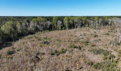 Photo #13 of Law Rd, Pinewood, SC 235.0 acres