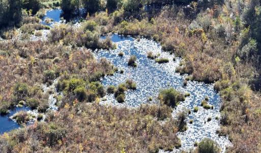 Photo #11 of Law Rd, Pinewood, SC 235.0 acres