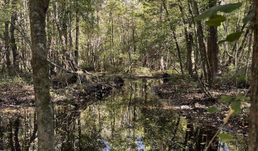 Photo #2 of Law Rd, Pinewood, SC 235.0 acres