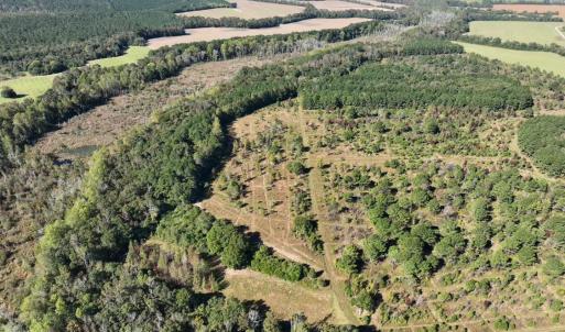 Photo #1 of Law Rd, Pinewood, SC 235.0 acres
